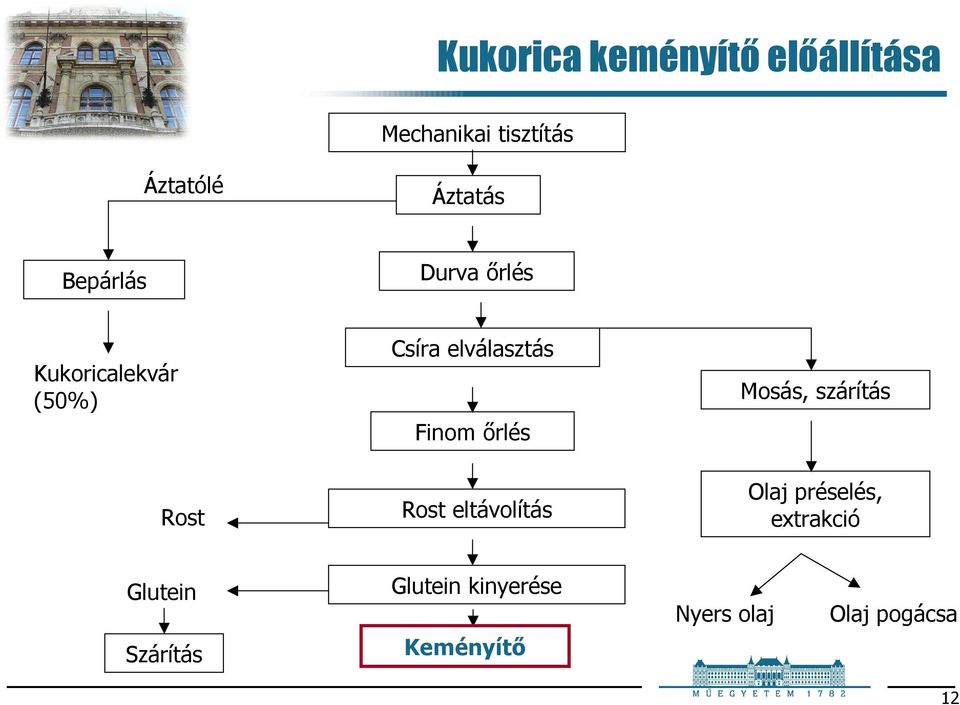 Finom őrlés Rost eltávolítás Mosás, szárítás Olaj préselés,