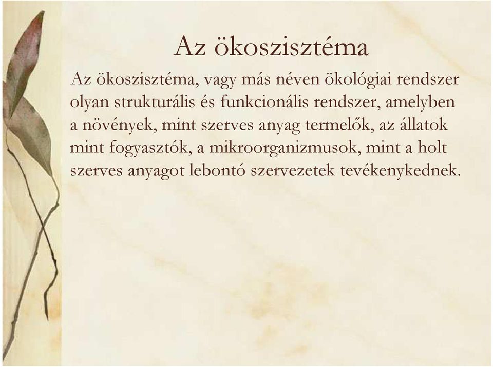 mint szerves anyag termelők, az állatok mint fogyasztók, a