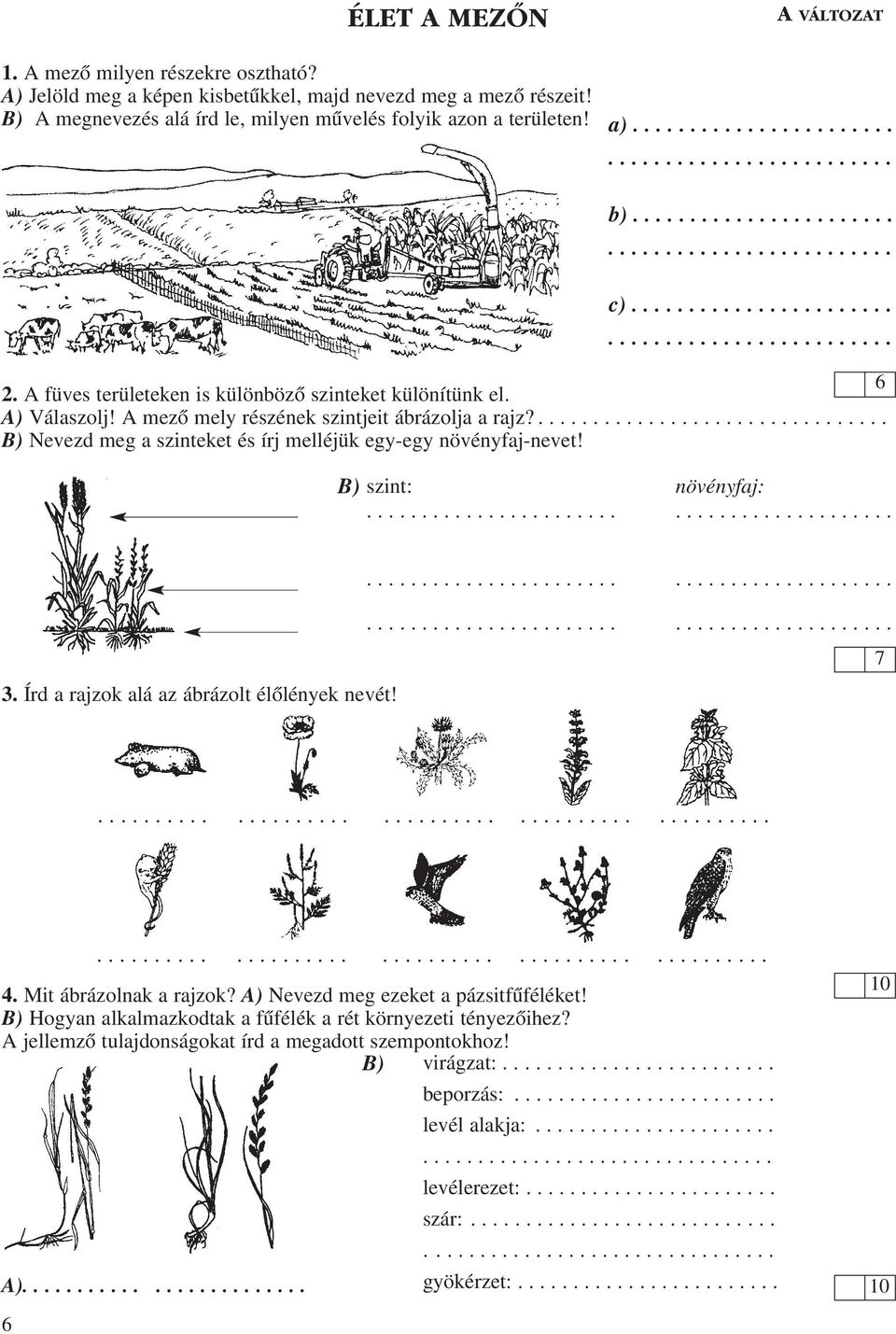 ............. B) Nevezd meg a szinteket és írj melléjük egy-egy növényfaj-nevet! B) szint: növényfaj:............... 7 3. Írd a rajzok alá az ábrázolt élôlények nevét!............ 4.