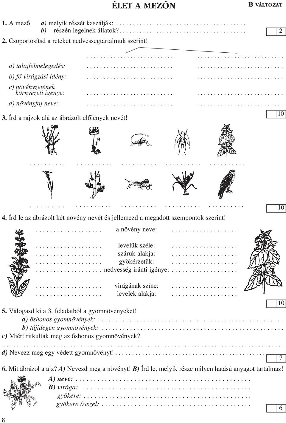 Írd le az ábrázolt két növény nevét és jellemezd a megadott szempontok szerint!. Válogasd ki a 3. feladatból a gyomnövényeket! a) ôshonos gyomnövények:............... b) tájidegen gyomnövények:.