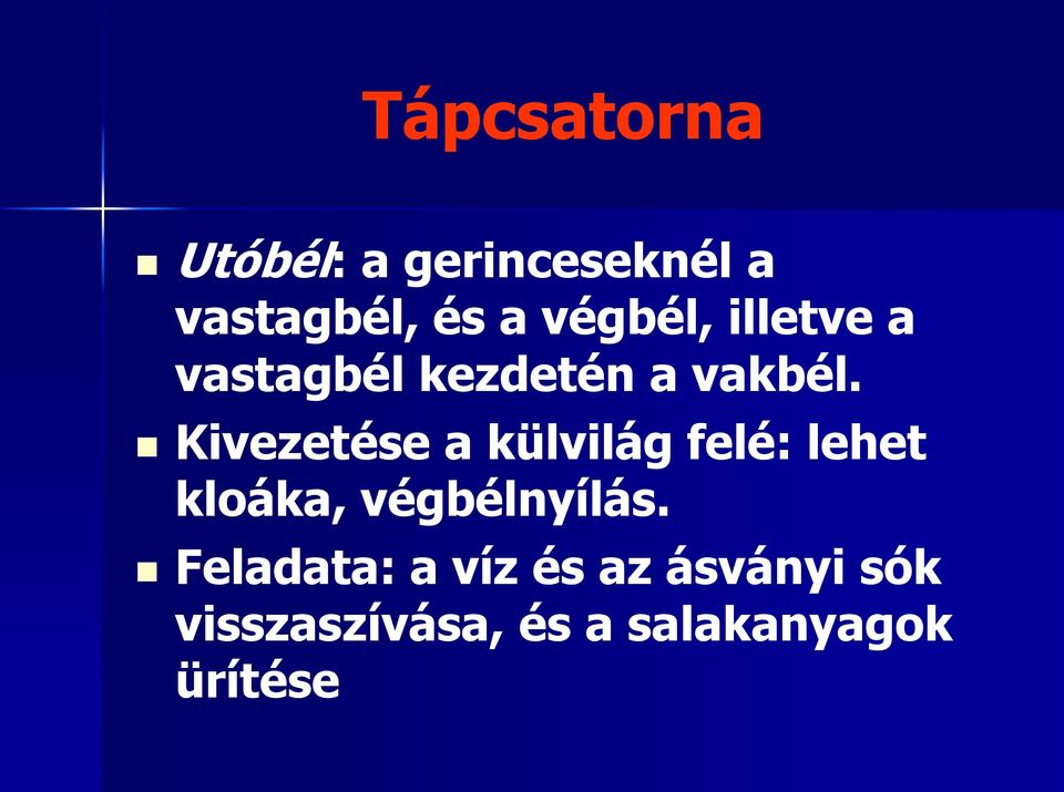 Kivezetése a külvilág felé: lehet kloáka, végbélnyílás.