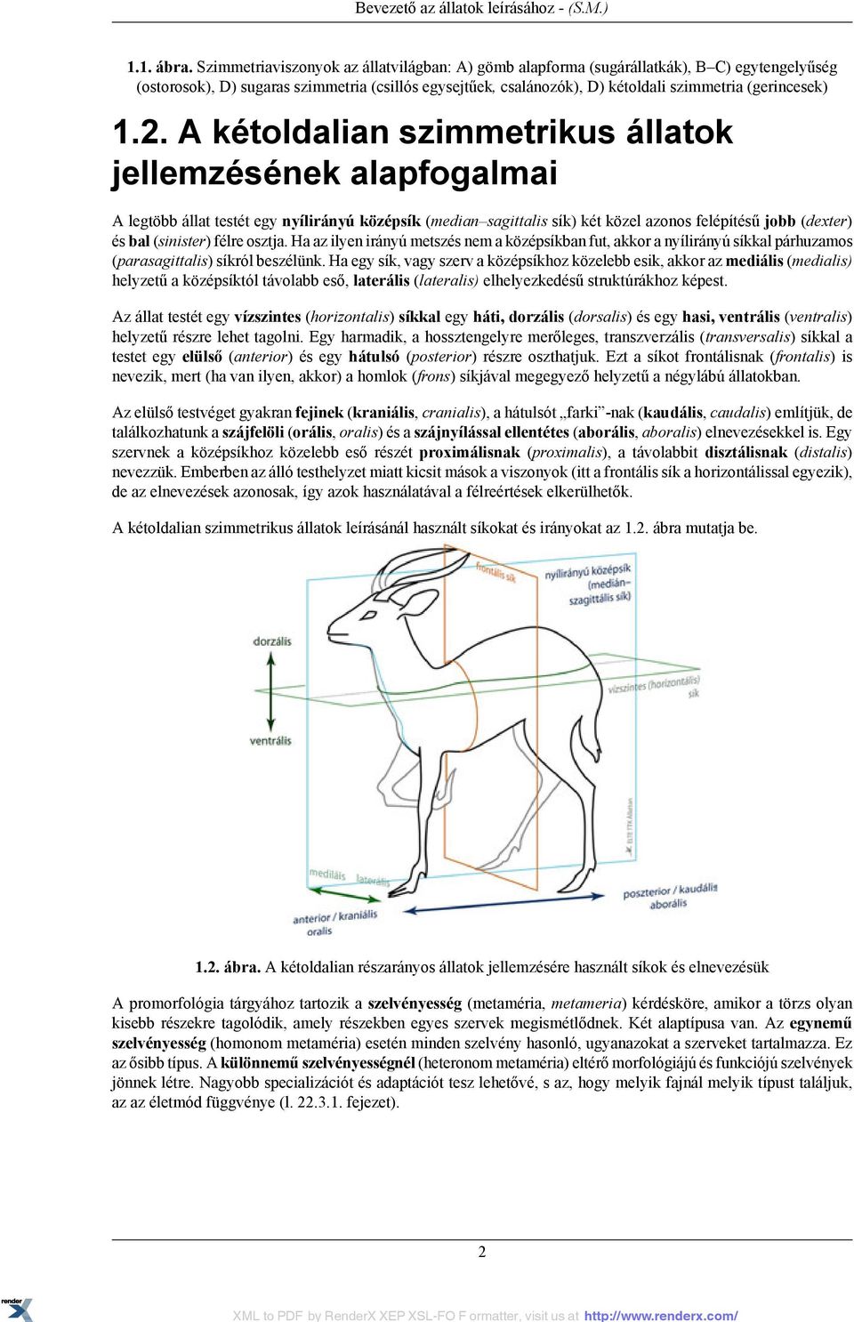 1.2. A kétoldalian szimmetrikus állatok jellemzésének alapfogalmai A legtöbb állat testét egy nyílirányú középsík (median sagittalis sík) két közel azonos felépítésű jobb (dexter) és bal (sinister)