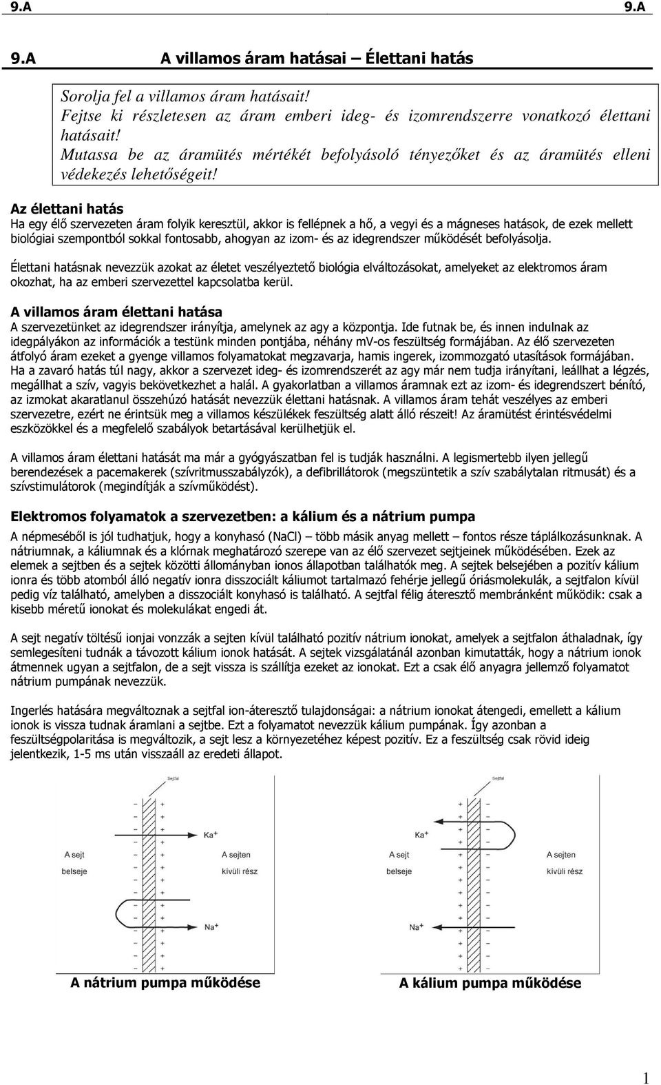 Az élettani hatás Ha egy élı szervezeten áram folyik keresztül, akkor is fellépnek a hı, a vegyi és a mágneses hatások, de ezek mellett biológiai szempontból sokkal fontosabb, ahogyan az izom- és az