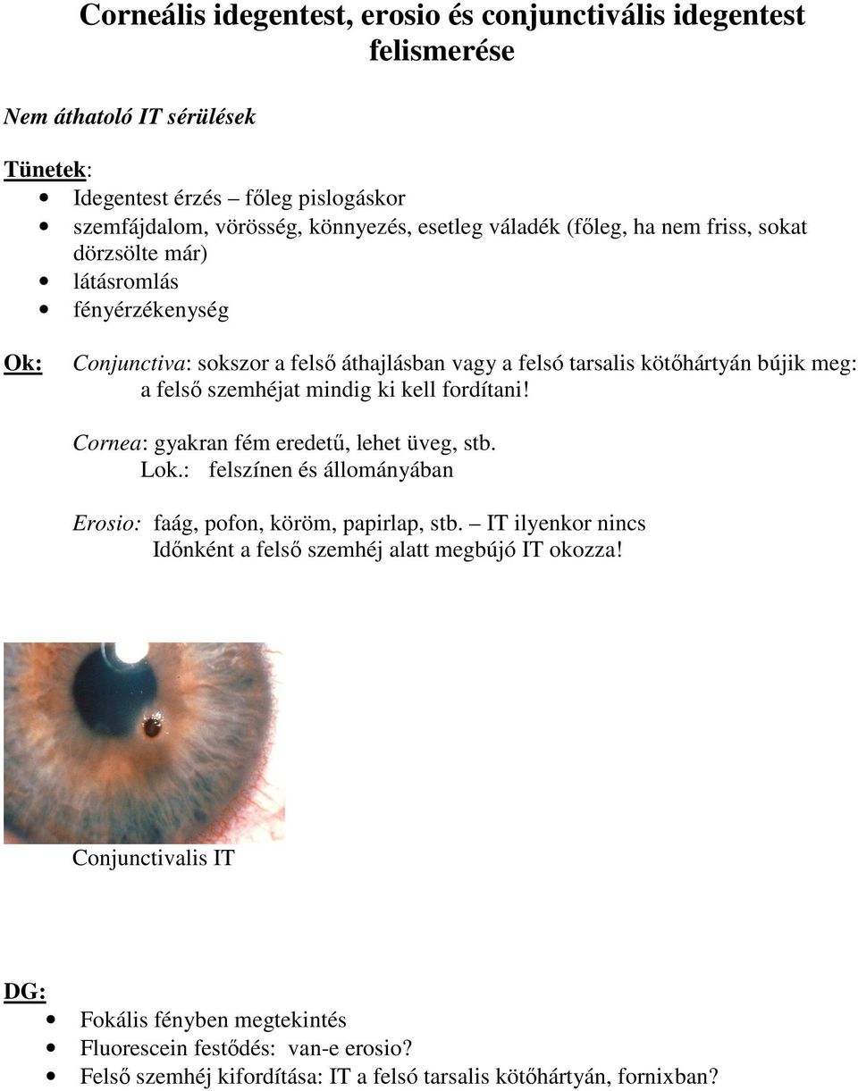 szemhéjat mindig ki kell fordítani! Cornea: gyakran fém eredetű, lehet üveg, stb. Lok.: felszínen és állományában Erosio: faág, pofon, köröm, papirlap, stb.