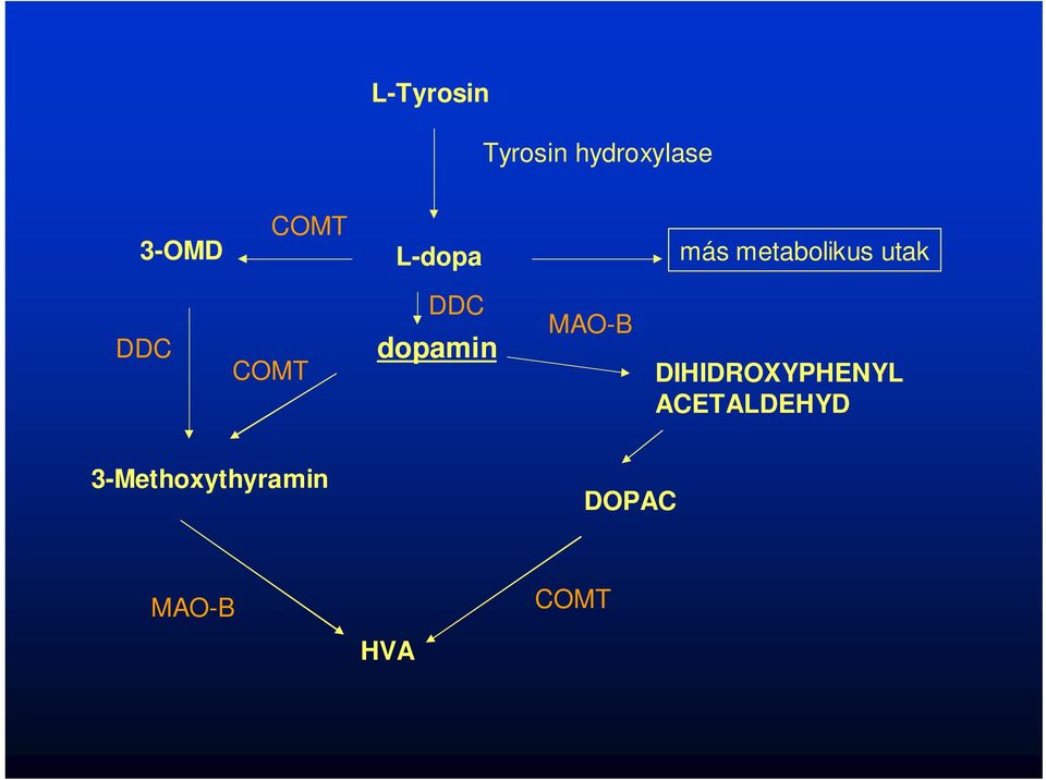 dopamin MAO-B DIHIDROXYPHENYL