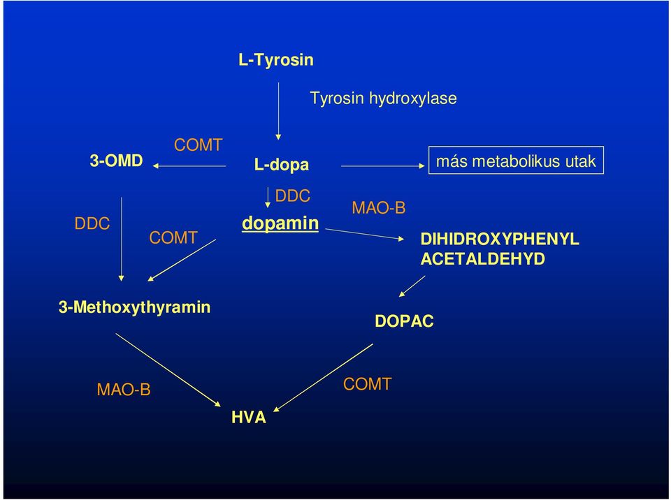 dopamin MAO-B DIHIDROXYPHENYL