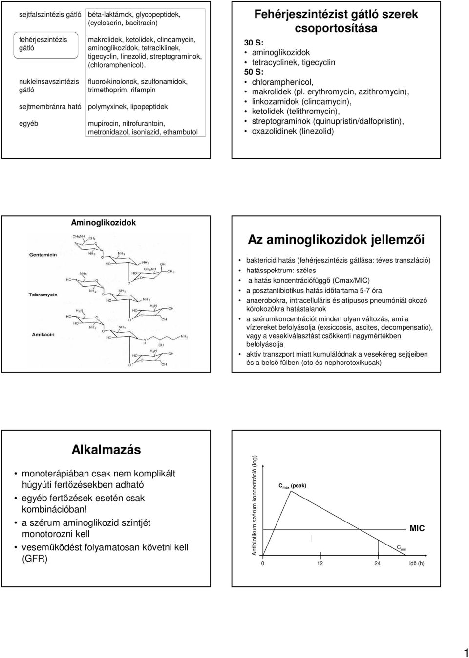 erythromycin, azithromycin), linkozamidok (clindamycin), ketolidek (telithromycin), streptograminok (quinupristin/dalfopristin), oxazolidinek (linezolid) Aminoglikozidok Az aminoglikozidok jellemzői
