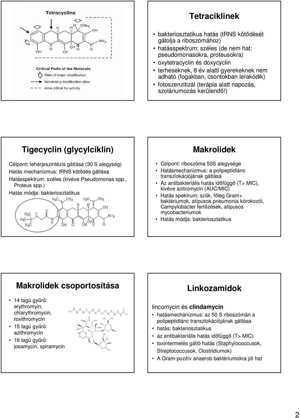 ) Tigecyclin (glycylciklin) Célpont: fehérjeszintézis gátlása (30 S alegység) Hatás mechanizmus: trns kötődés gátlása Hatásspektrum: széles (kivéve Pseudomonas spp., Proteus spp.