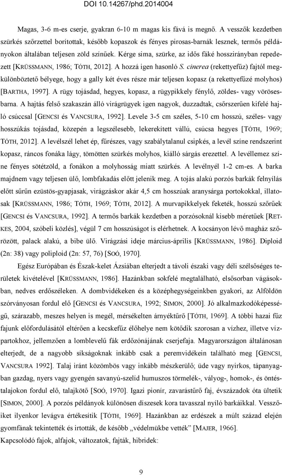 Kérge sima, szürke, az idős fáké hosszirányban repedezett [KRÜSSMANN, 1986; TÓTH, 2012]. A hozzá igen hasonló S.