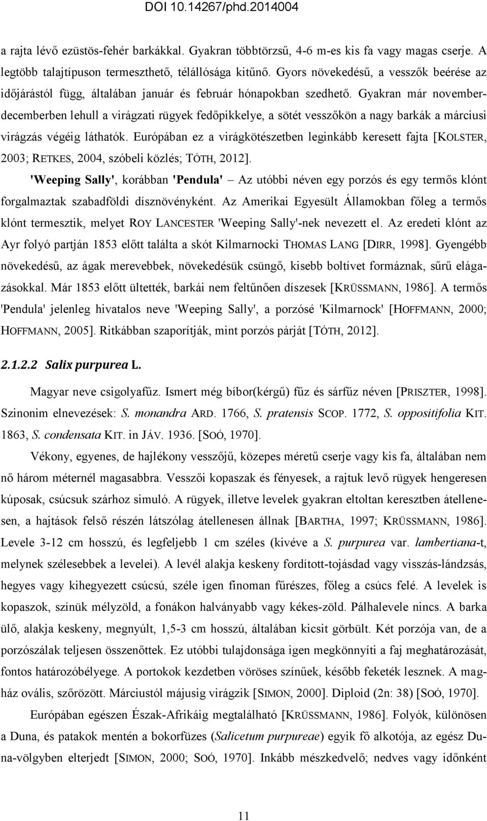 Gyakran már novemberdecemberben lehull a virágzati rügyek fedőpikkelye, a sötét vesszőkön a nagy barkák a márciusi virágzás végéig láthatók.