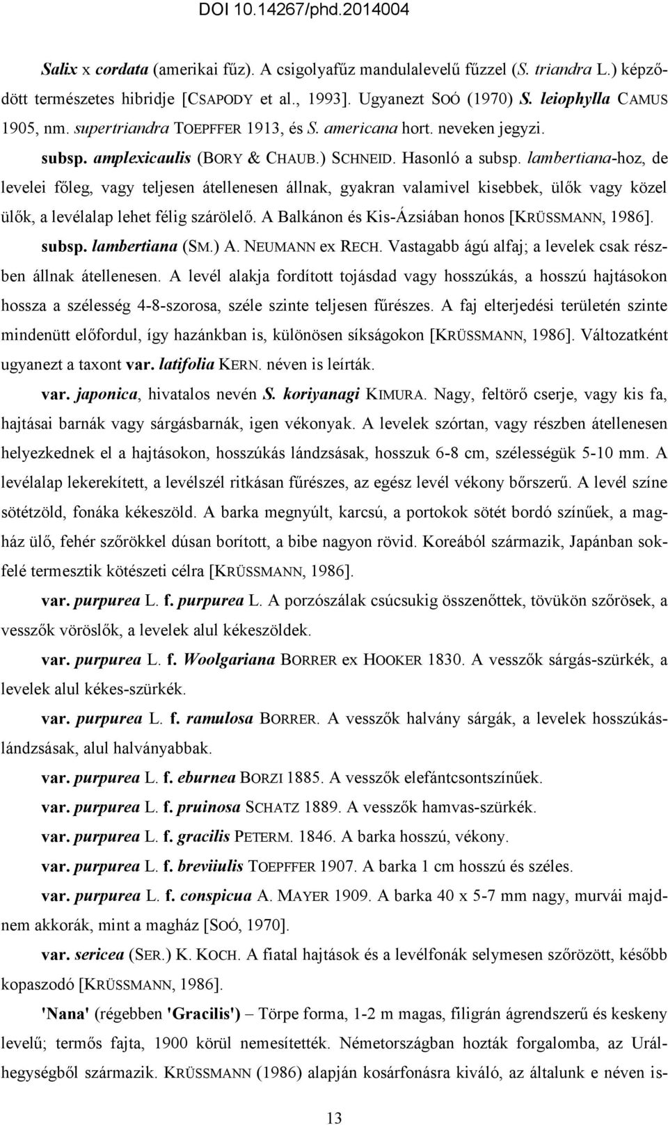 lambertiana-hoz, de levelei főleg, vagy teljesen átellenesen állnak, gyakran valamivel kisebbek, ülők vagy közel ülők, a levélalap lehet félig szárölelő.