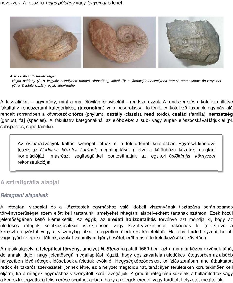 A fosszíliákat ugyanúgy, mint a mai élővilág képviselőit rendszerezzük. A rendszerezés a kötelező, illetve fakultatív rendszertani kategóriákba (taxonokba) való besorolással történik.