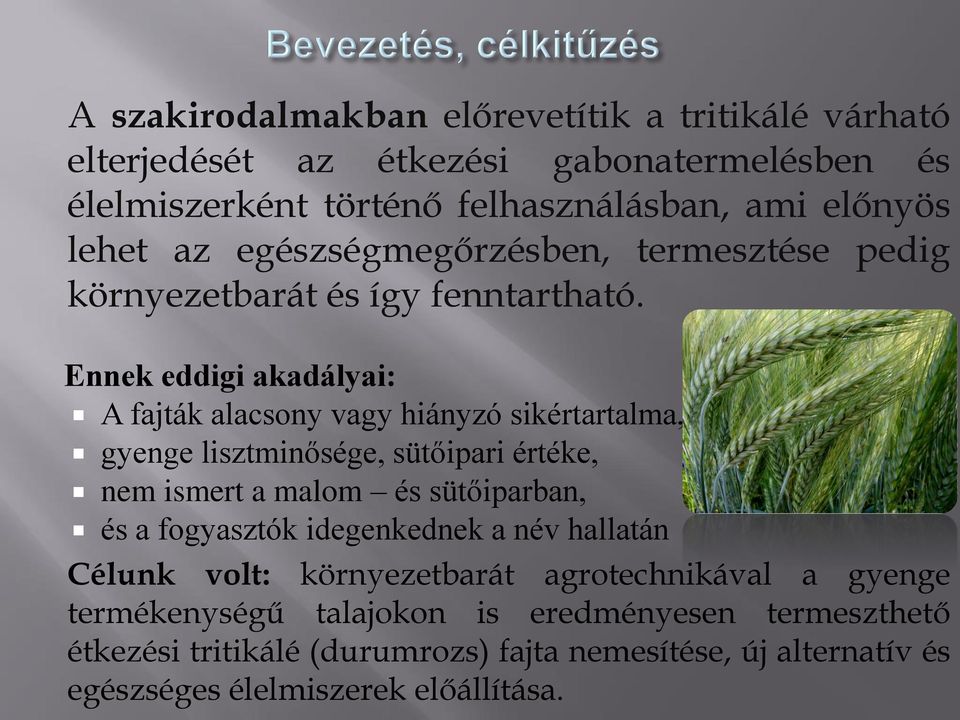 Ennek eddigi akadályai: A fajták alacsony vagy hiányzó sikértartalma, gyenge lisztminősége, sütőipari értéke, nem ismert a malom és sütőiparban, és a