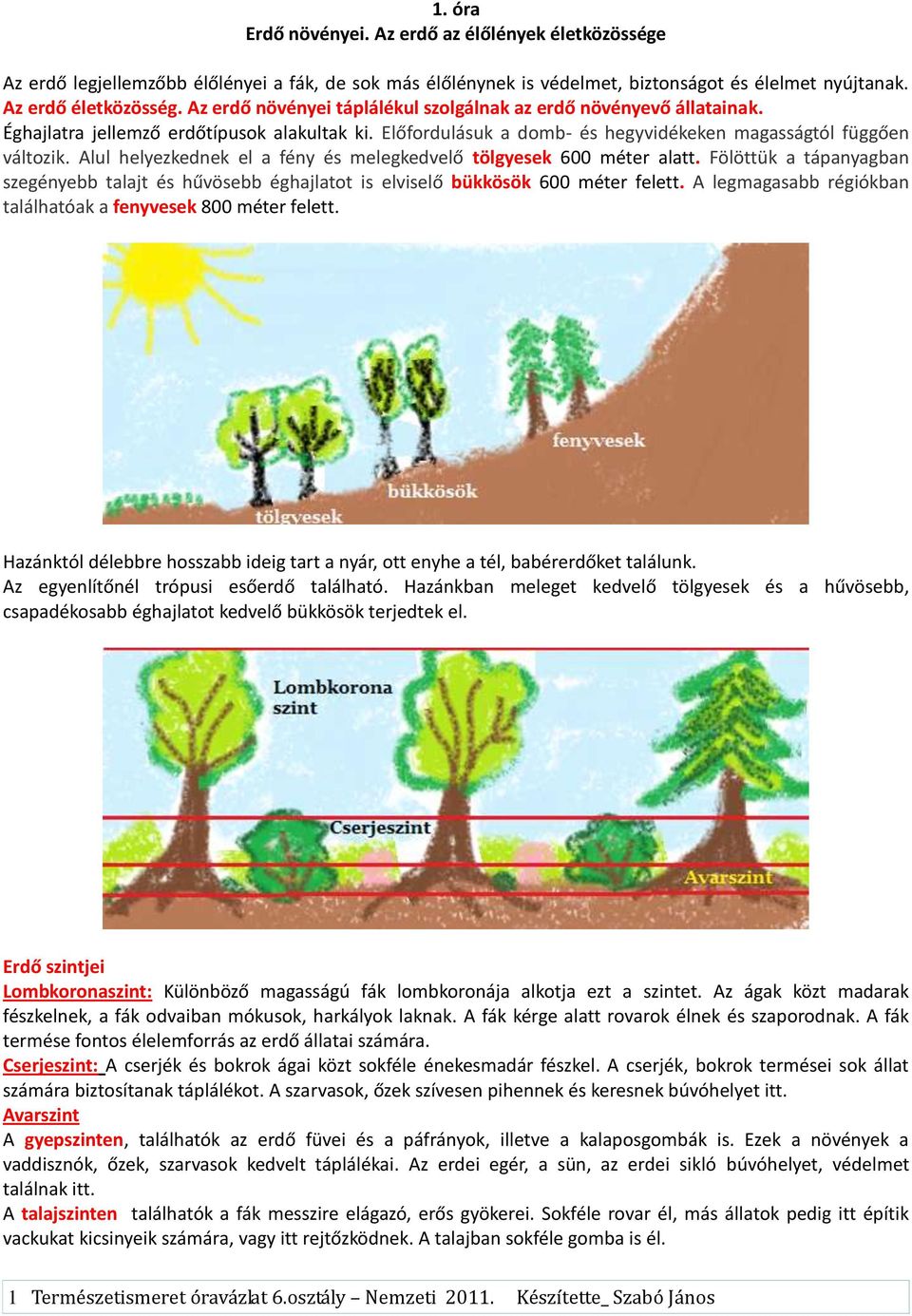 1. óra Erdő növényei. Az erdő az élőlények életközössége - PDF Ingyenes  letöltés