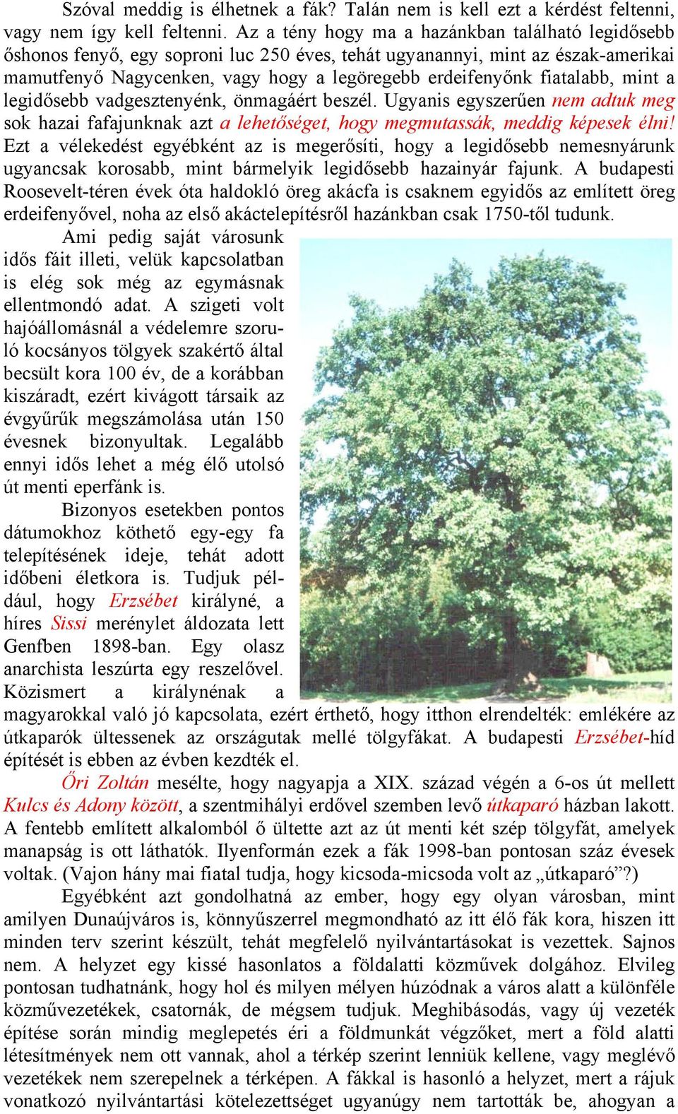 fiatalabb, mint a legidősebb vadgesztenyénk, önmagáért beszél. Ugyanis egyszerűen nem adtuk meg sok hazai fafajunknak azt a lehetőséget, hogy megmutassák, meddig képesek élni!
