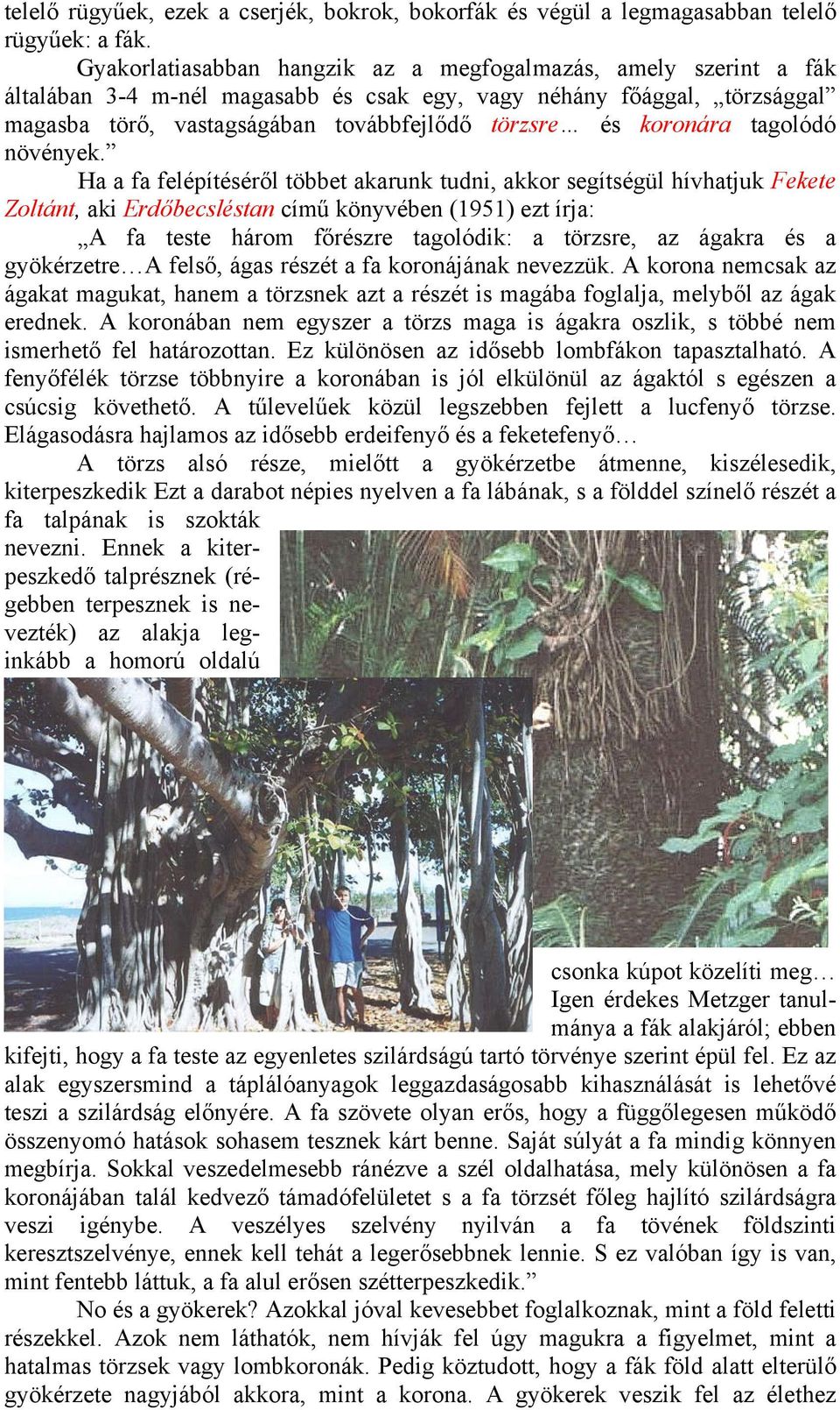 koronára tagolódó növények.