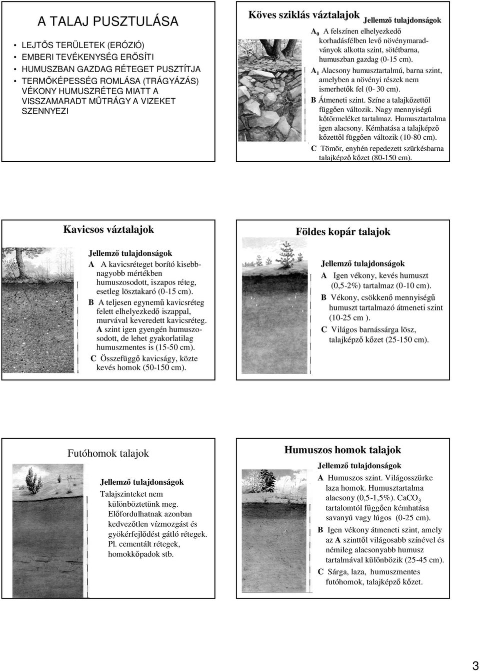 A 1 Alacsony humusztartalmú, barna szint, amelyben a növényi részek nem ismerhet k fel (0-30 cm). B Átmeneti szint. Színe a talajk zett l függ en változik. Nagy mennyiség törmeléket tartalmaz.