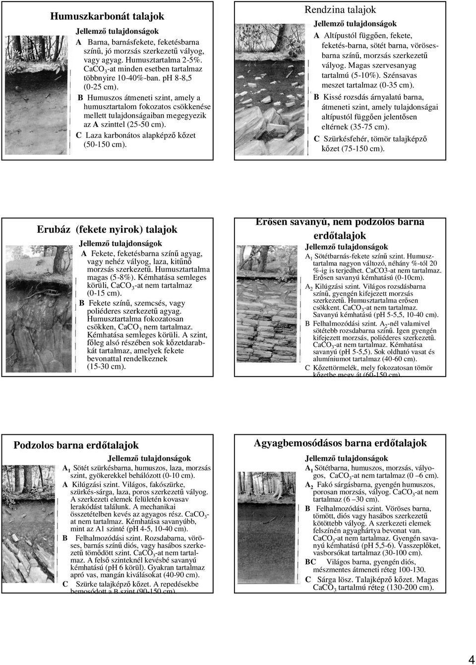 Rendzina talajok A Altípustól függ en, fekete, feketés-barna, sötét barna, vörösesbarna szín, morzsás szerkezet vályog. Magas szervesanyag tartalmú (5-10%). Szénsavas meszet tartalmaz (0-35 cm).