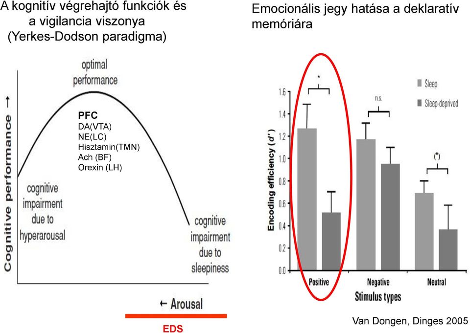 hatása a deklaratív memóriára PFC DA(VTA) NE(LC)