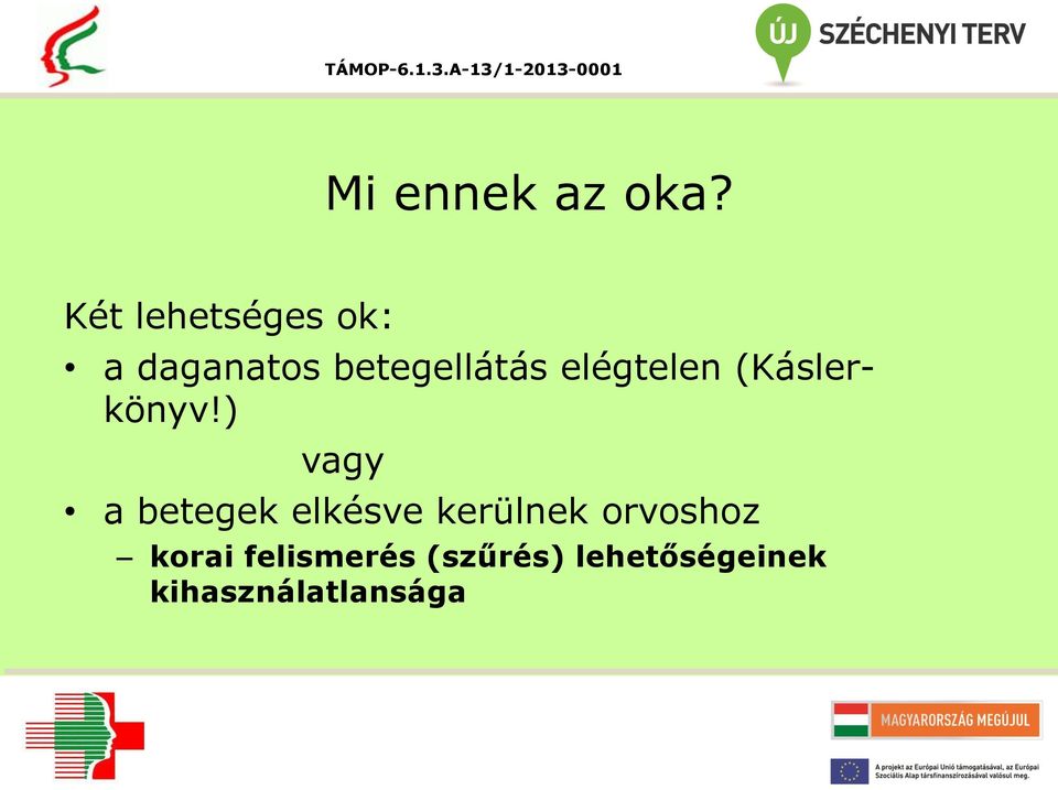 elégtelen (Káslerkönyv!