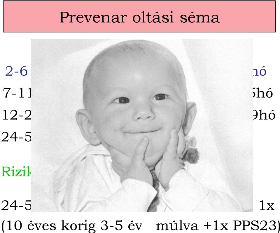 24-59hó 24-59hó: 1 x PCV7 booster: Ø Rizikó csoportban: