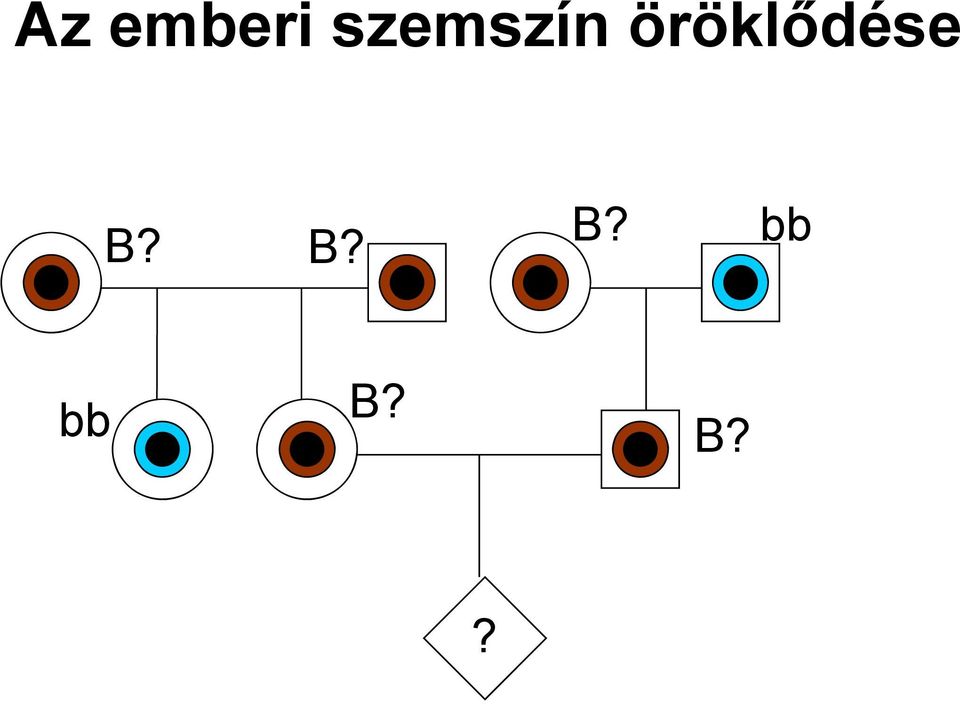 öröklődése B?