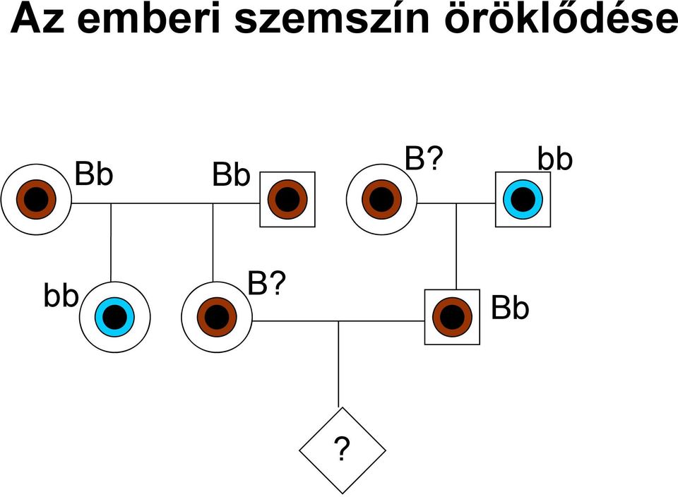 öröklődése