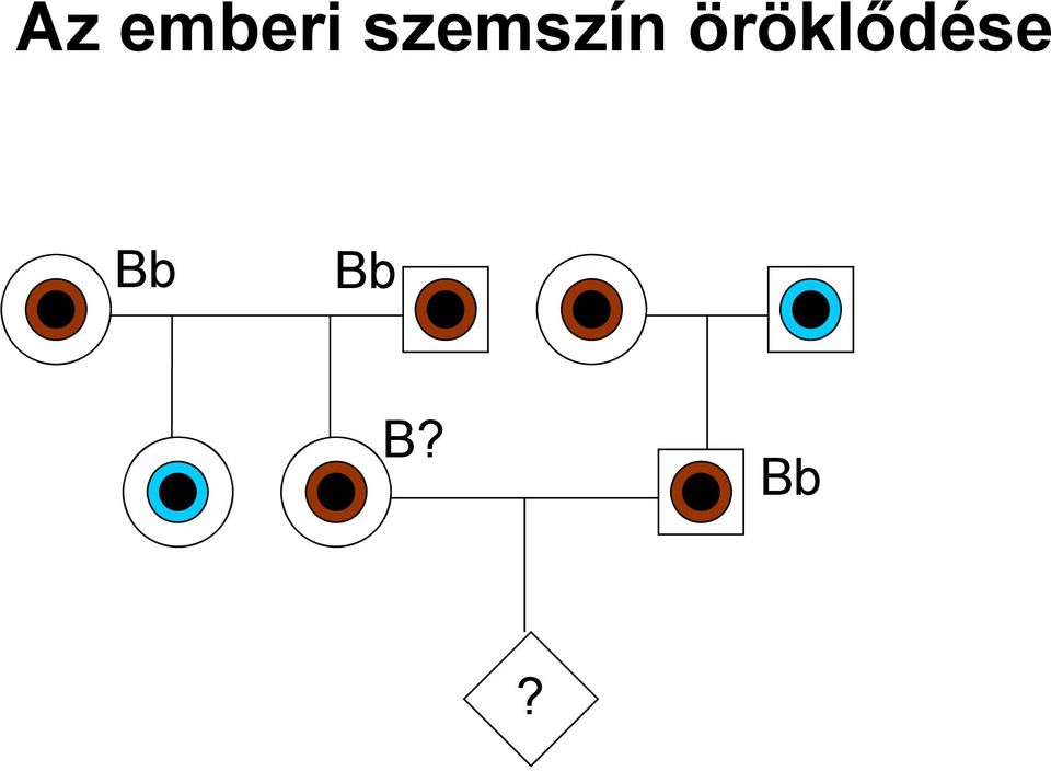 öröklődése