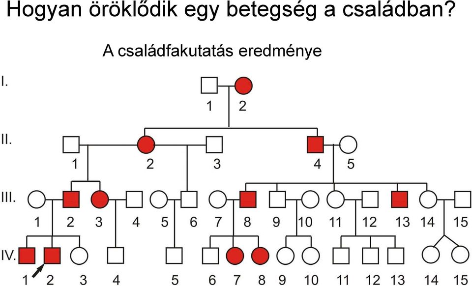 családban?