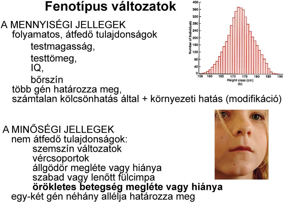 MINŐSÉGI JELLEGEK nem átfedő tulajdonságok: szemszín változatok vércsoportok állgödör megléte vagy