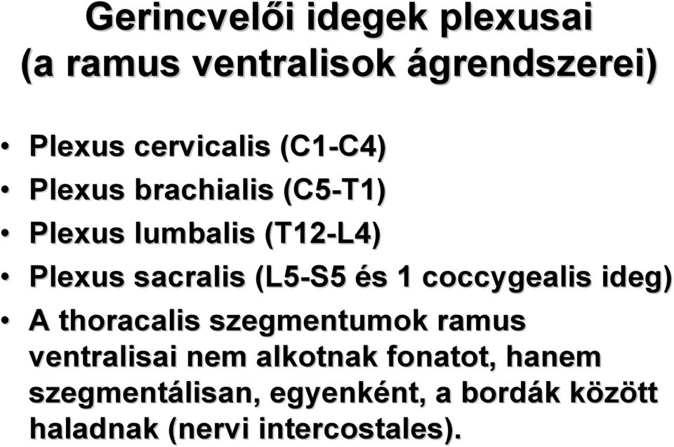 és s 1 coccygealis ideg) A thoracalis szegmentumok ramus ventralisai nem alkotnak