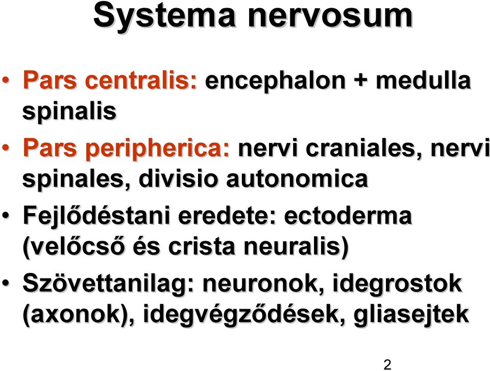 Fejlődéstani eredete: ectoderma (velőcs cső és s crista neuralis)