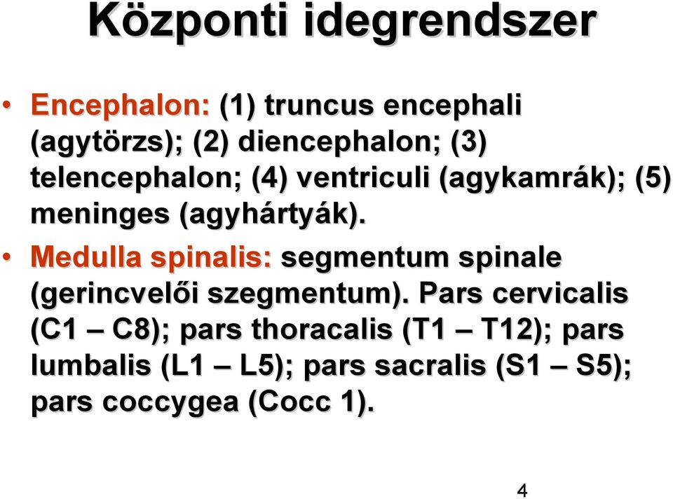 Medulla spinalis: segmentum spinale (gerincvelői i szegmentum).