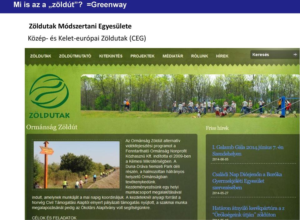 Módszertani Egyesülete