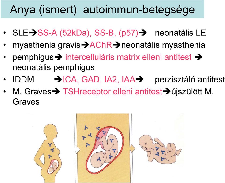 intercelluláris matrix elleni antitest neonatális pemphigus IDDM ICA,