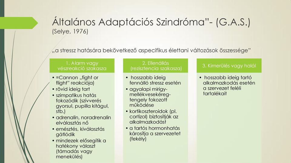 nő emésztés, kiválasztás gátlódik mindezek elősegítik a hatékony választ (támadás vagy menekülés) 2.