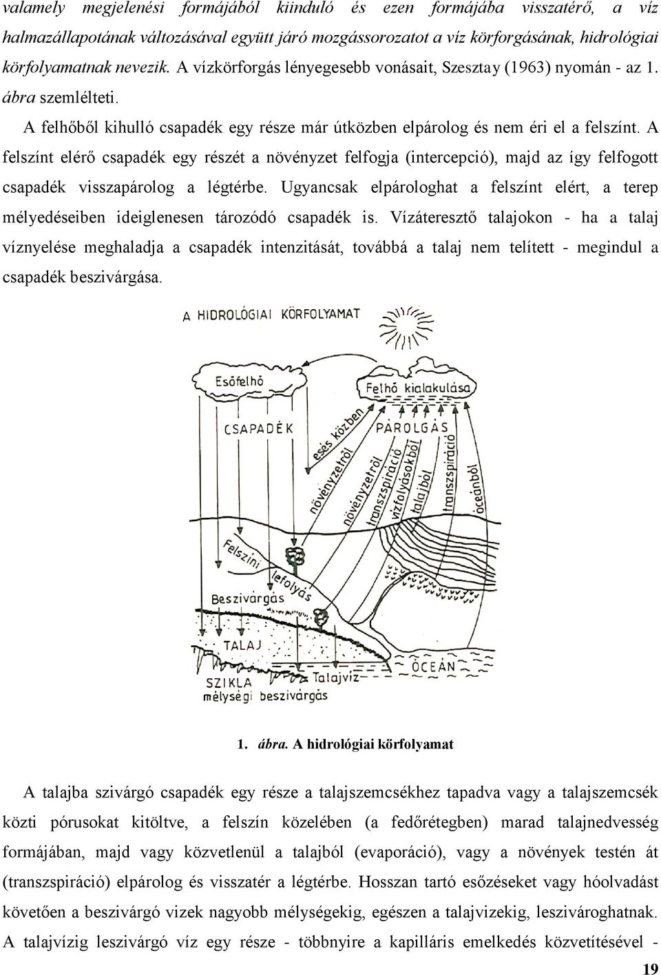 A felszínt elérő csapadék egy részét a növényzet felfogja (intercepció), majd az így felfogott csapadék visszapárolog a légtérbe.