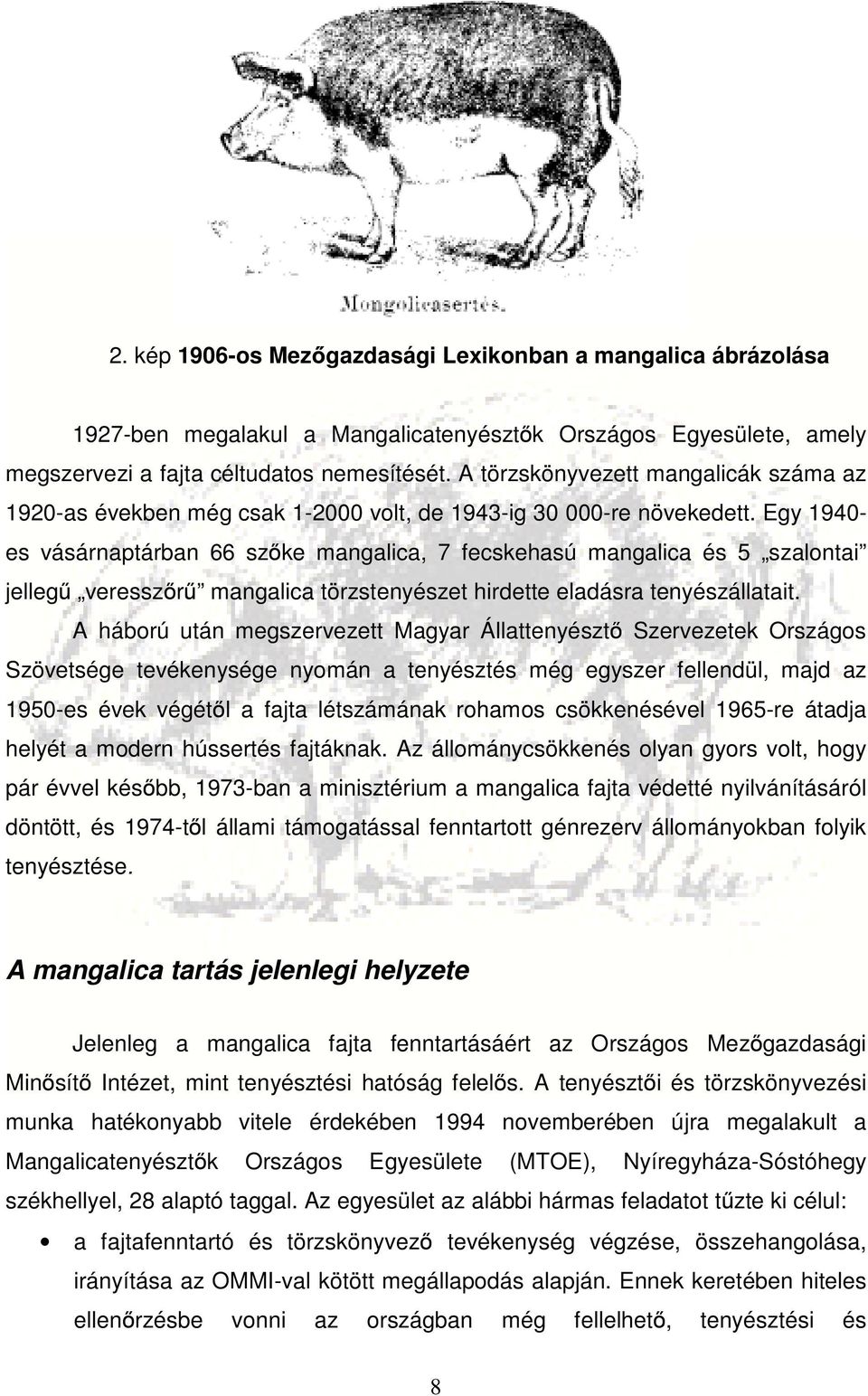 Egy 1940- es vásárnaptárban 66 szőke mangalica, 7 fecskehasú mangalica és 5 szalontai jellegű veresszőrű mangalica törzstenyészet hirdette eladásra tenyészállatait.