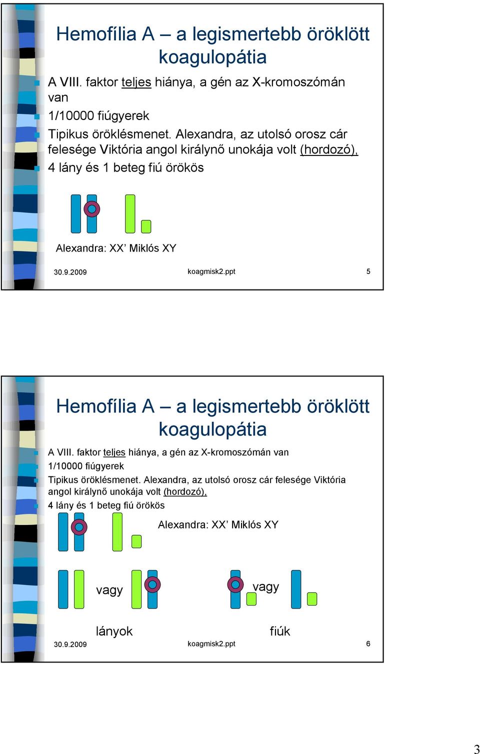 ppt 5  Alexandra, az utolsó orosz cár felesége Viktória angol királynő unokája volt (hordozó), 4 lány és 1 beteg fiú örökös Alexandra: XX Miklós XY vagy vagy