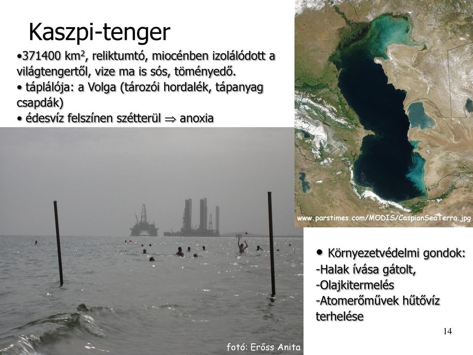 táplálója: a Volga (tározói hordalék, tápanyag csapdák) édesvíz felszínen szétterül