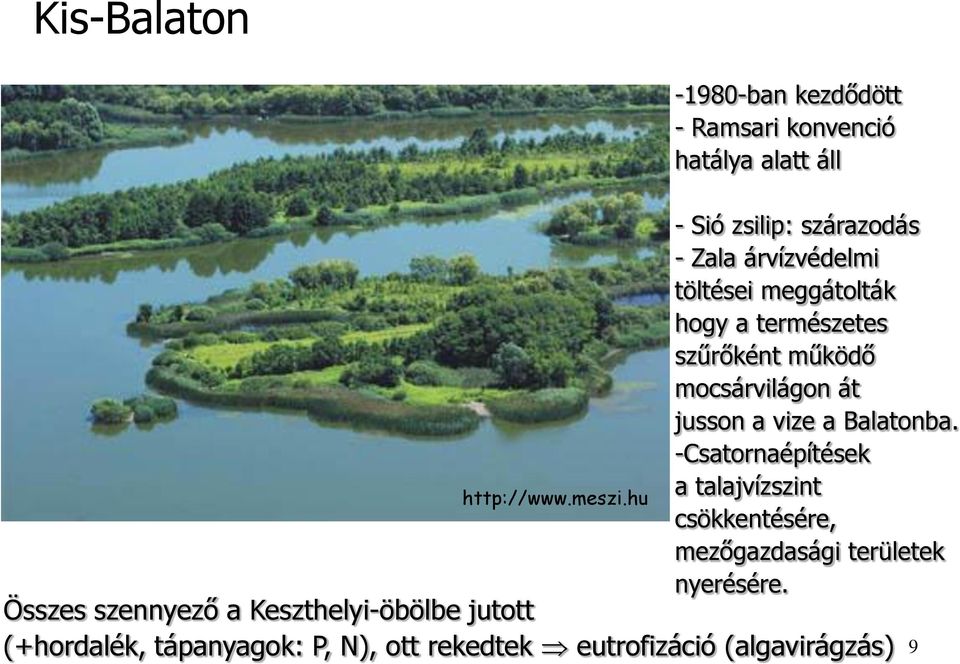 mocsárvilágon át jusson a vize a Balatonba.
