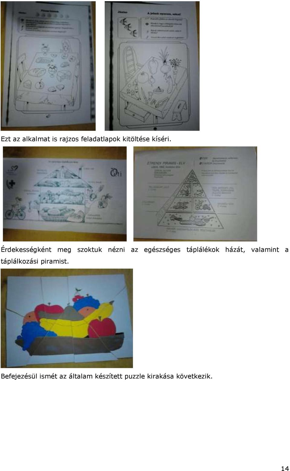 táplálékok házát, valamint a táplálkozási piramist.