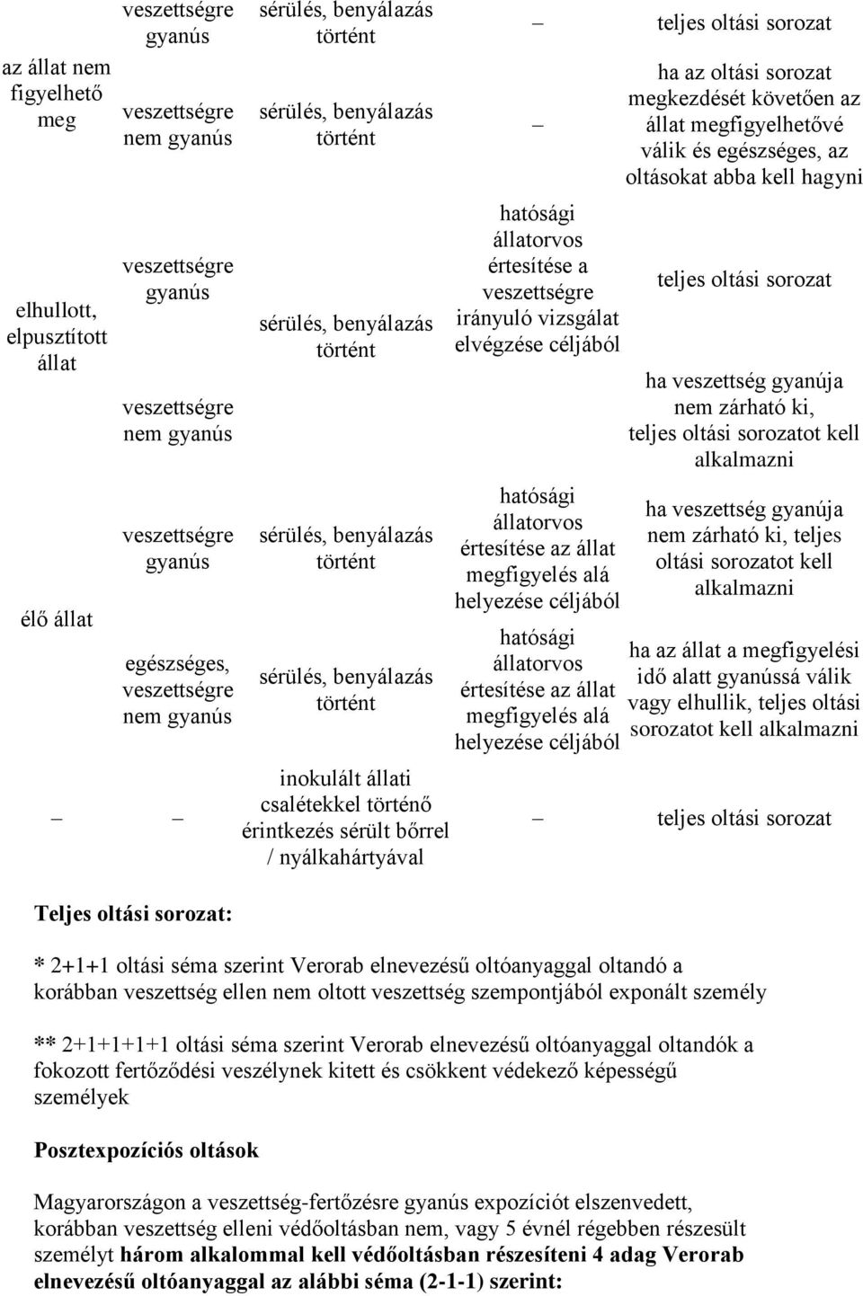 állati csalétekkel történő érintkezés sérült bőrrel / nyálkahártyával teljes oltási sorozat hatósági állatorvos értesítése a veszettségre irányuló vizsgálat elvégzése céljából hatósági állatorvos