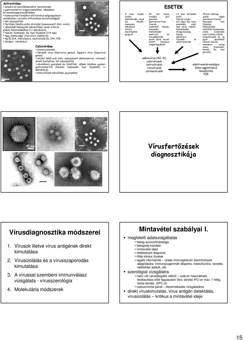hányás, hasmenés, láz, hasi fájdalom (3-4 nap) nagy mennyiségű vírus ürül a széklettel Ag-ELISA, hibridizáció, neutralizáló Ea, IFA, PCR terápia rehidráció Caliciviridae savrezisztensek Norwalk vírus