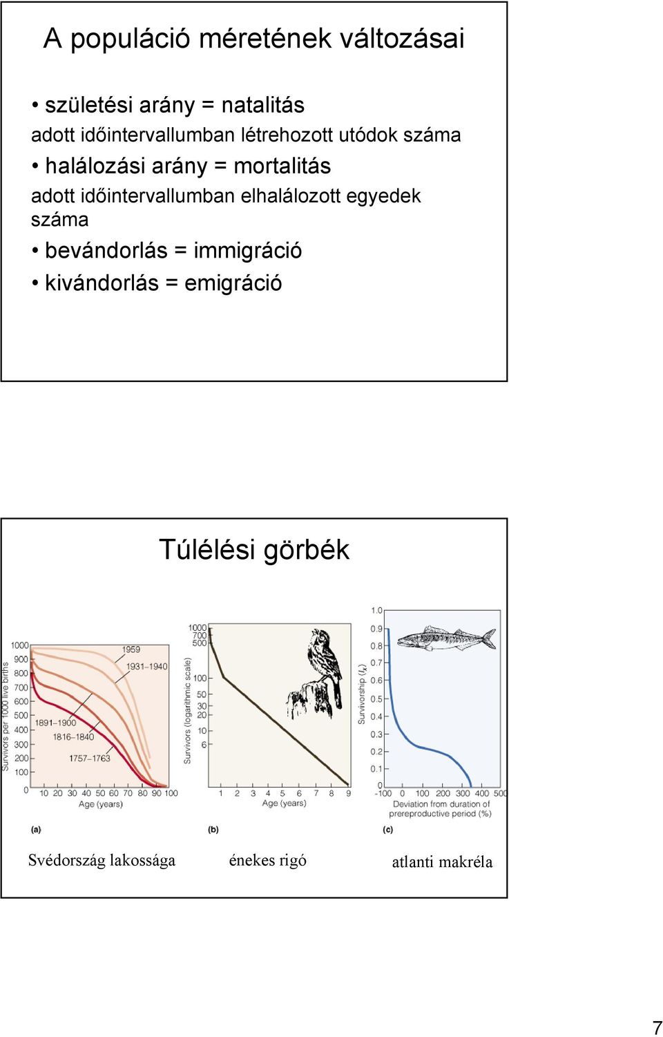 adott időintervallumban elhalálozott egyedek száma bevándorlás = immigráció