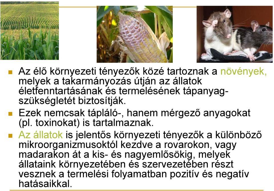 toxinokat) is tartalmaznak.