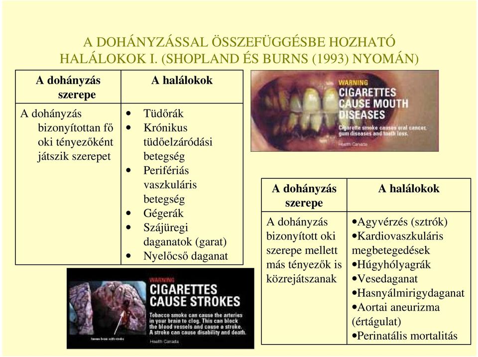 analóg leszokni a dohányzásról Danila Kozlovsky leszokott a dohányzásról