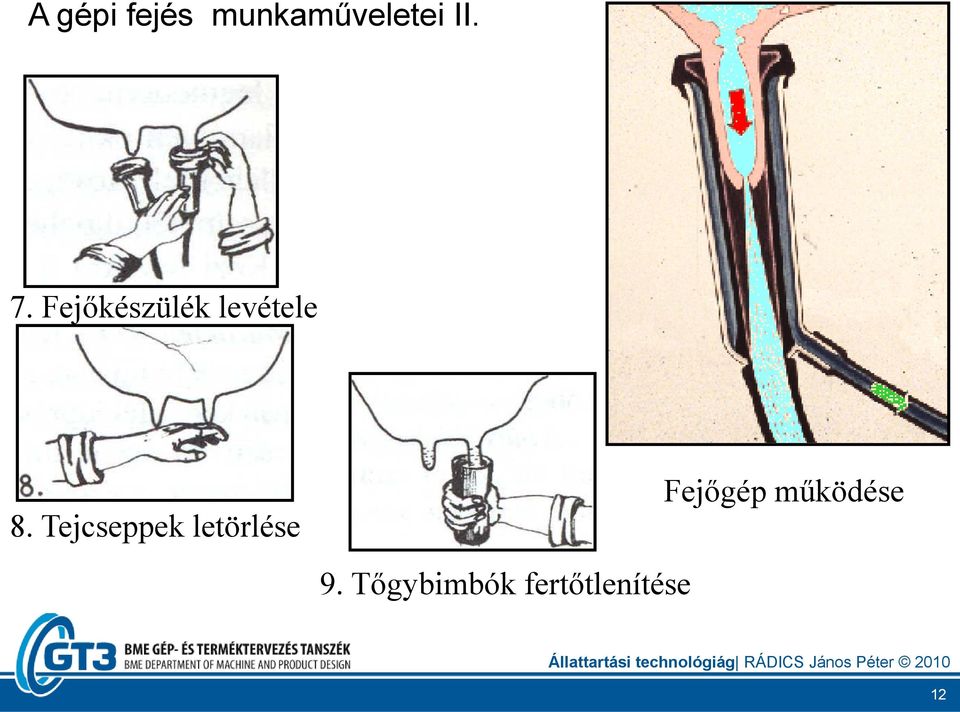 Fejőkészülék levétele l 8.