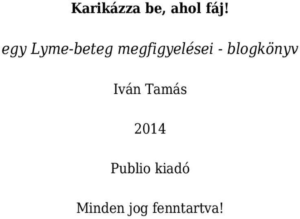 - blogkönyv Iván Tamás 2014