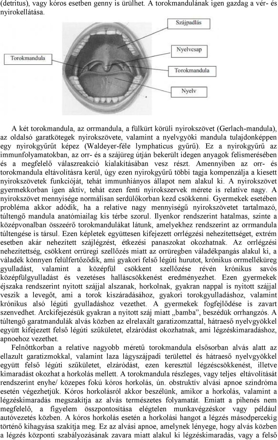 (Waldeyer-féle lymphaticus gyűrű). Ez a nyirokgyűrű az immunfolyamatokban, az orr- és a szájüreg útján bekerült idegen anyagok felismerésében és a megfelelő válaszreakció kialakításában vesz részt.